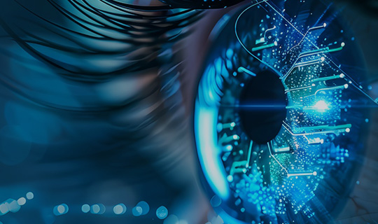 商品・サービス